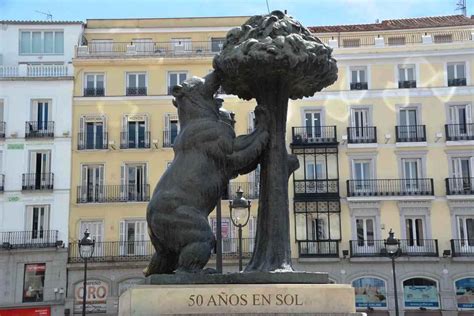 hay osos en madrid|El Oso y el Madroño. Por qué es un símbolo de Madrid